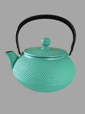 Teavana Tea Pot Heavy Cast Iron Made In Japan Turquoise Green Tetsubin Teapot